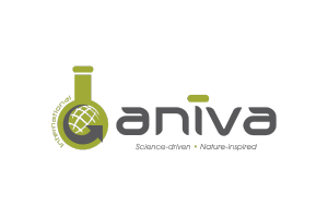 Aniva
